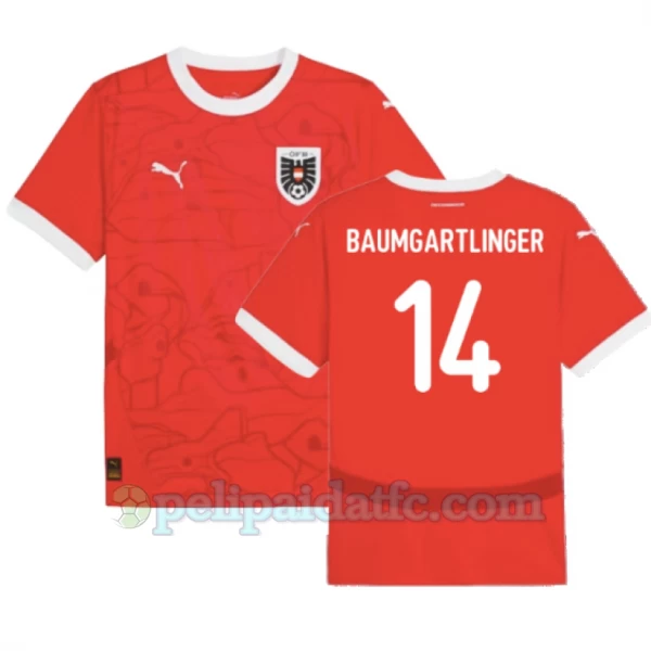 Baumgartlinger #14 Itävalta Jalkapallo Pelipaidat EM 2024 Kotipaita Miesten