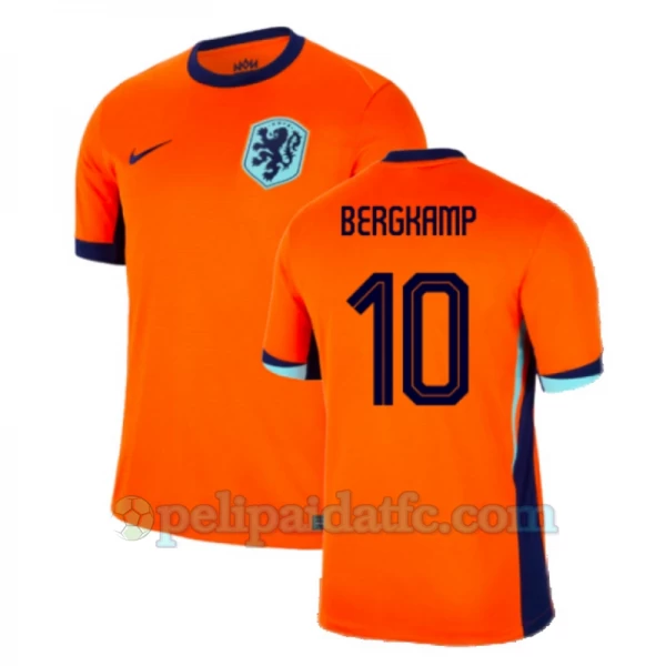 Bergkamp #10 Alankomaat Jalkapallo Pelipaidat EM 2024 Kotipaita Miesten
