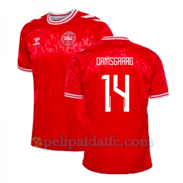 Damsgaard #14 Tanska Jalkapallo Pelipaidat EM 2024 Kotipaita Miesten